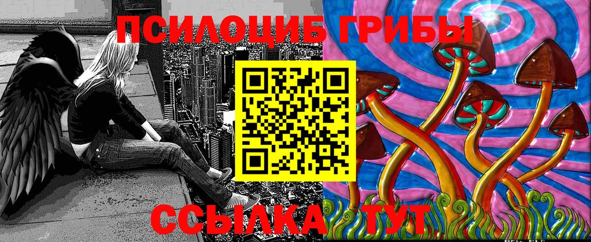 Псилоцибиновые грибы Psilocybine cubensis Воронеж